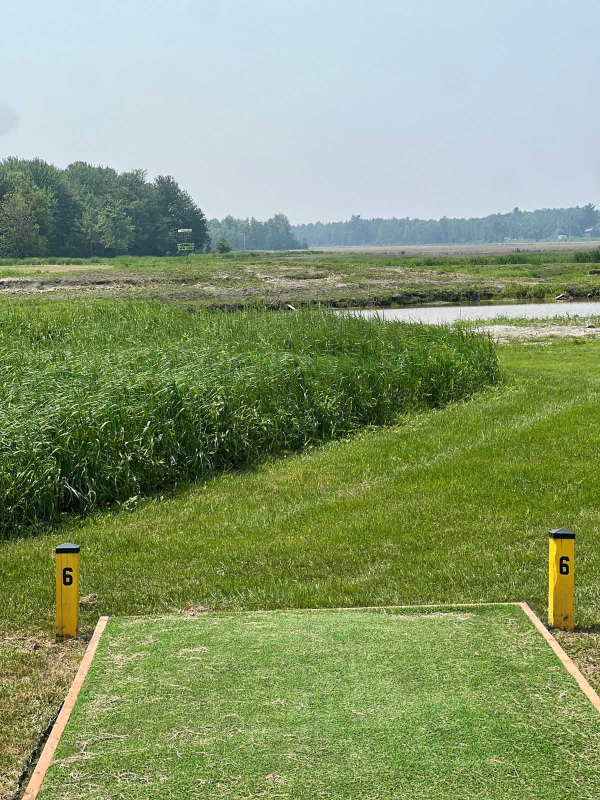 Hole 6 Gold Tee