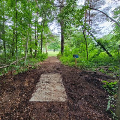 Hole 7s Short Tee
Teepad facing the fairway.
