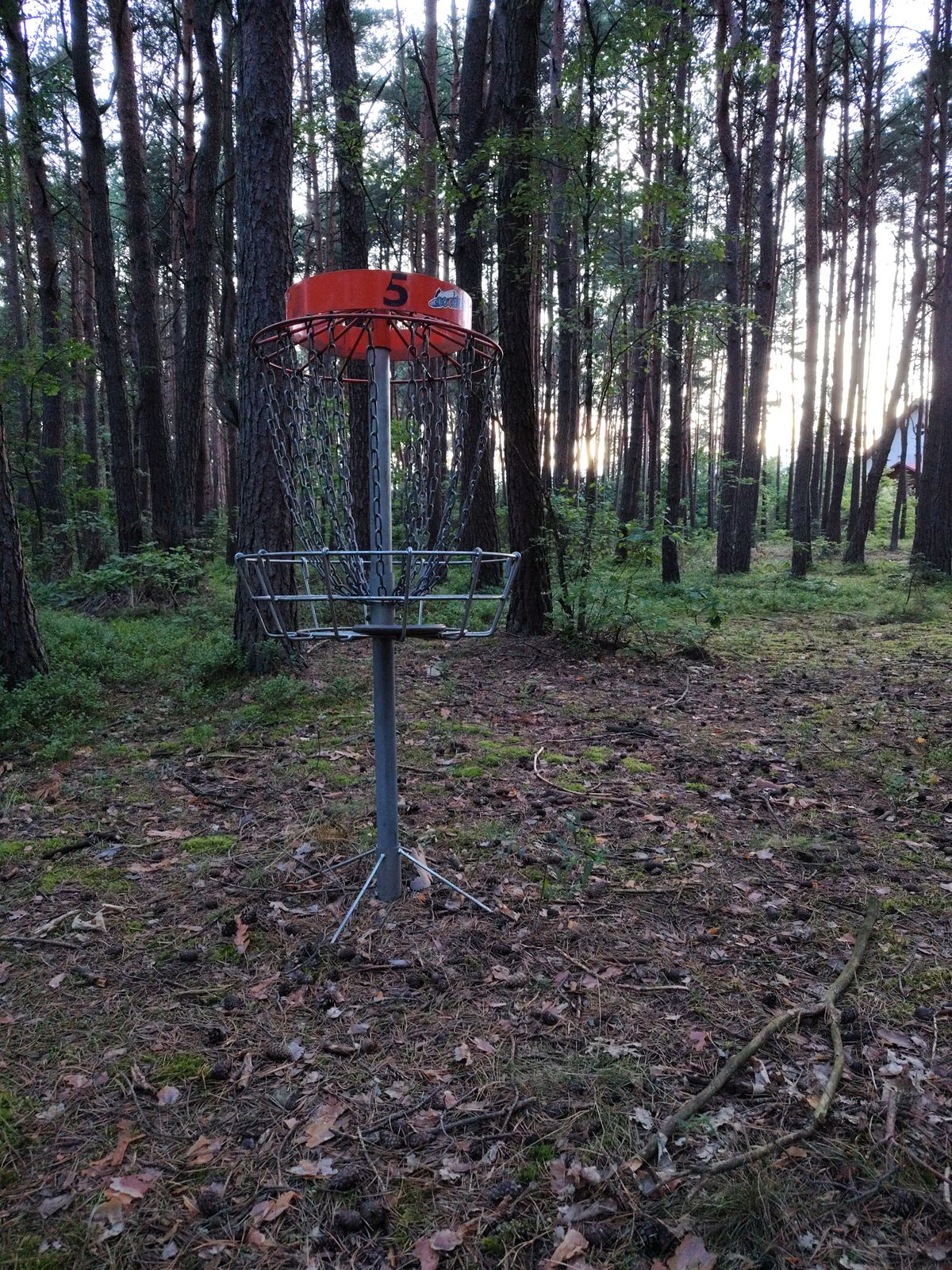 Hole 5