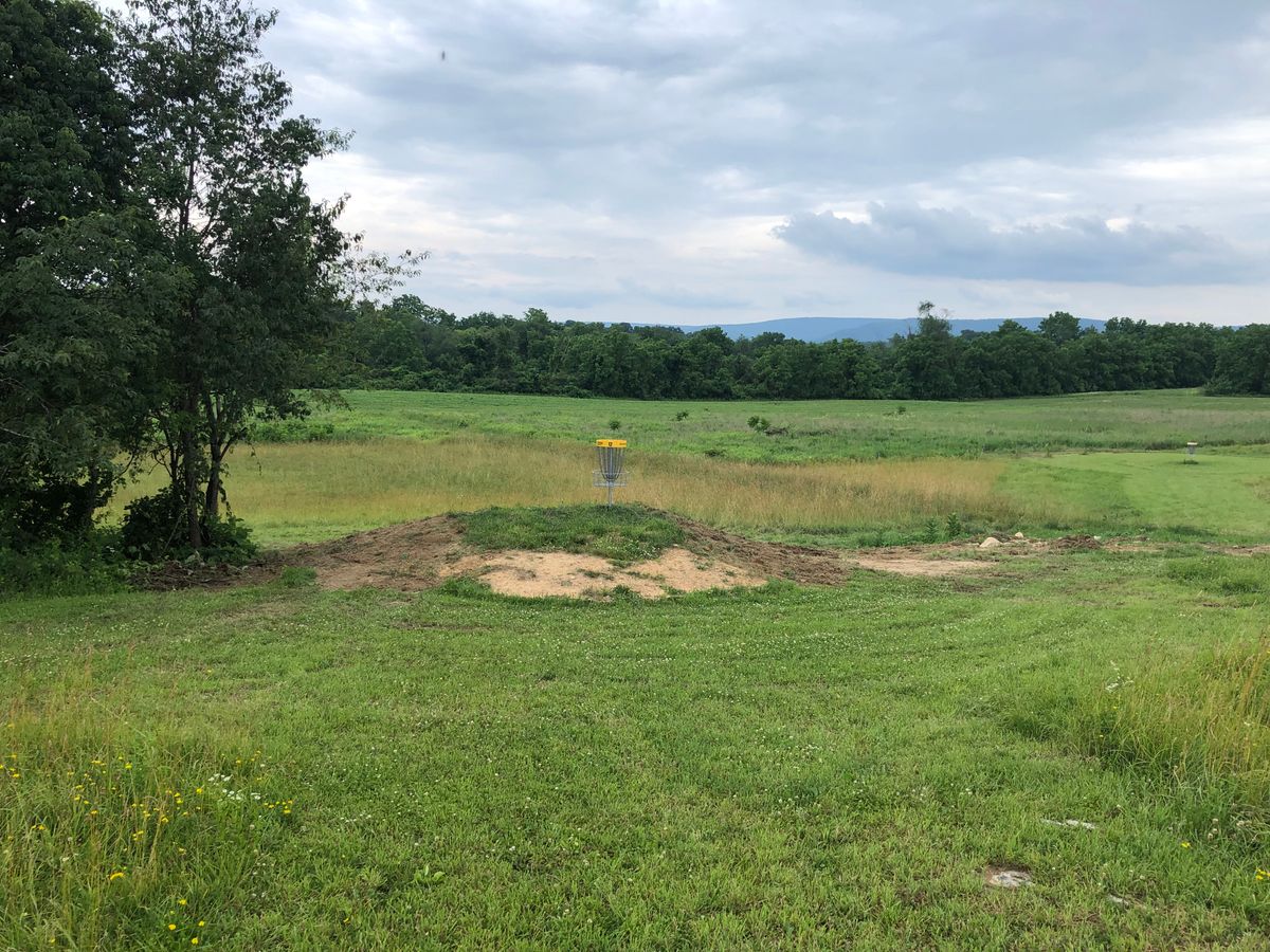 Elevated green on hole 12 recently reshaped