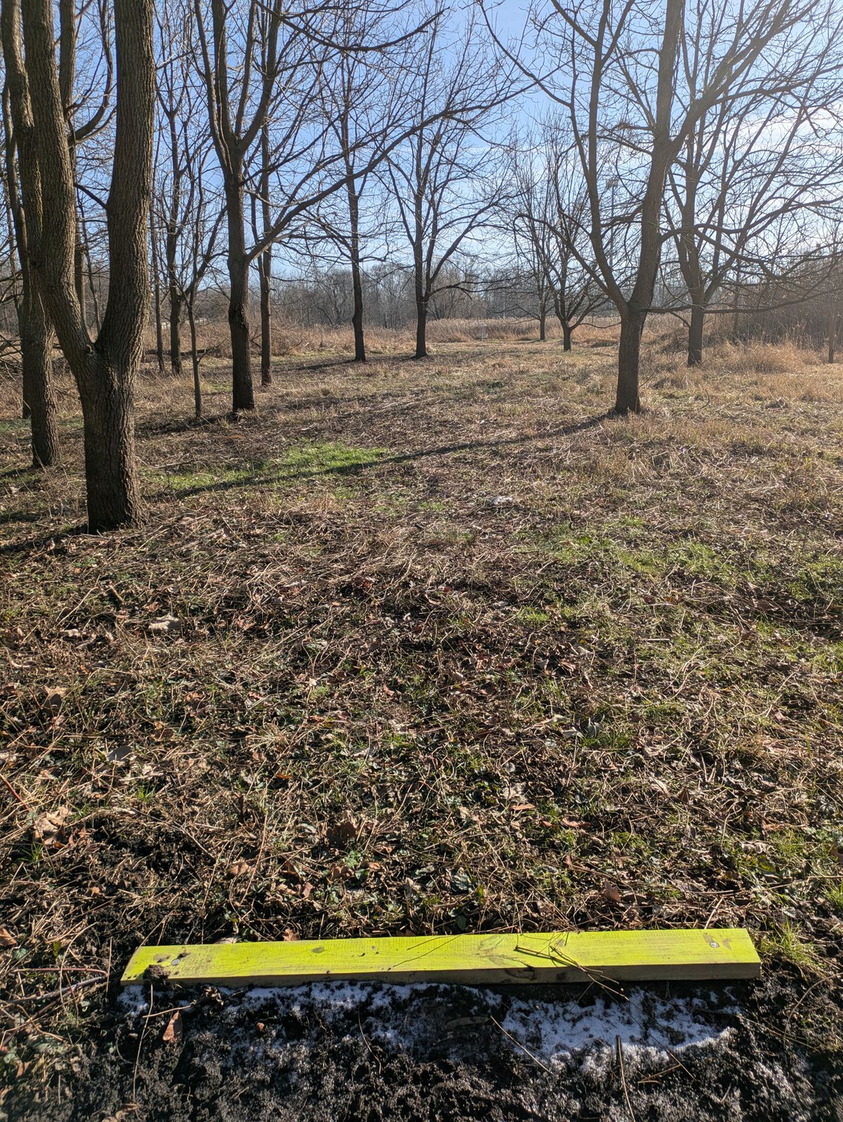 Hole 3 teepad