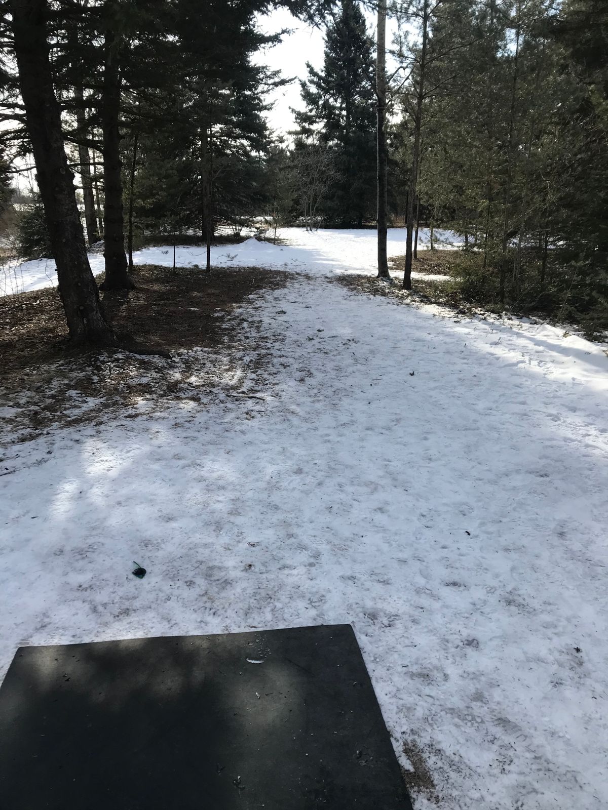 Hole 16 - A tee box - basket is to the right (not in pic)
