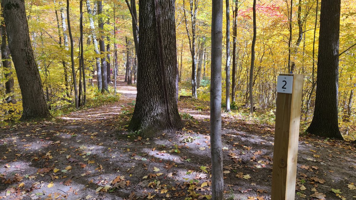 Looking up the fairway on hole 2.