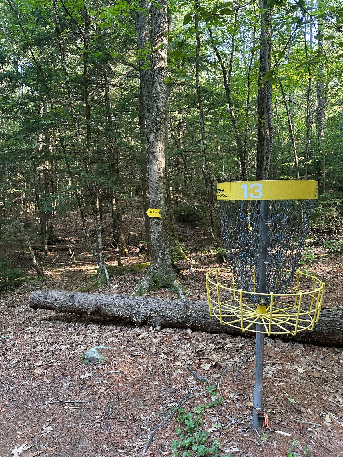 Basket 13