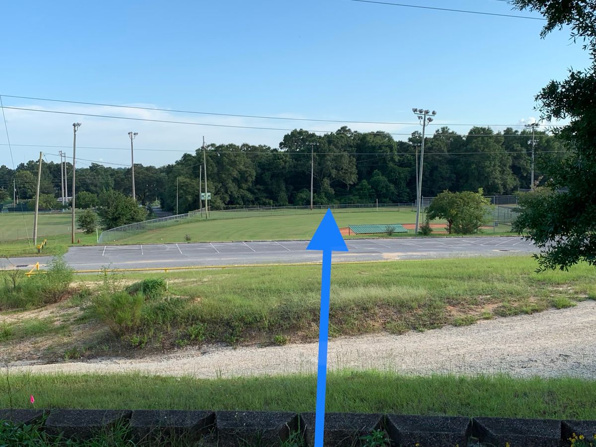 Hole 12 Blue(Pro) Tee - OB short, left, and right of field and beyond basket.