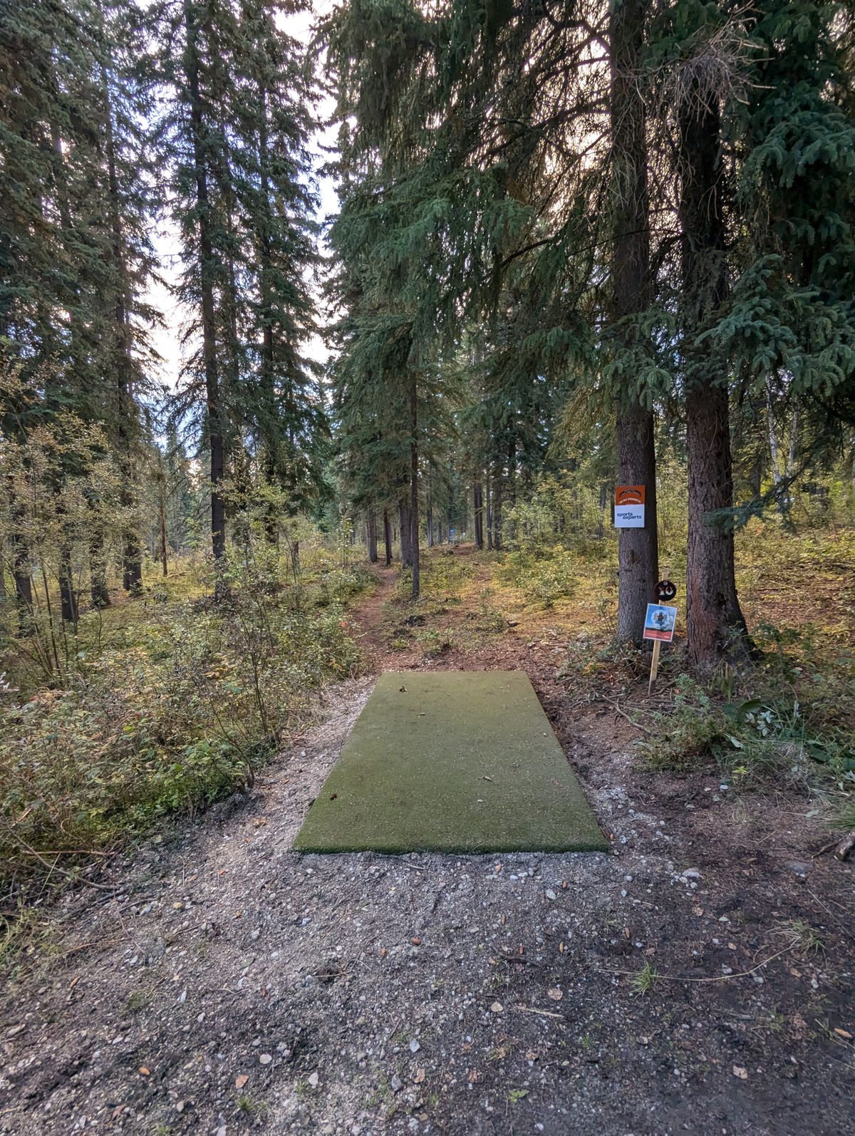 Hole 10 with new tee pad - August 2024