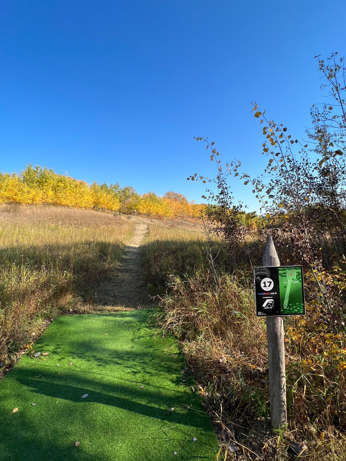 Hole 17 Tee Pad