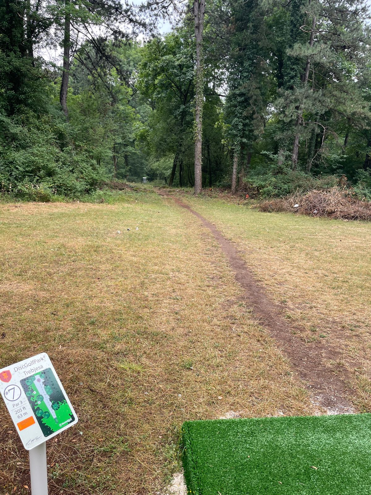 Hole 7 tee