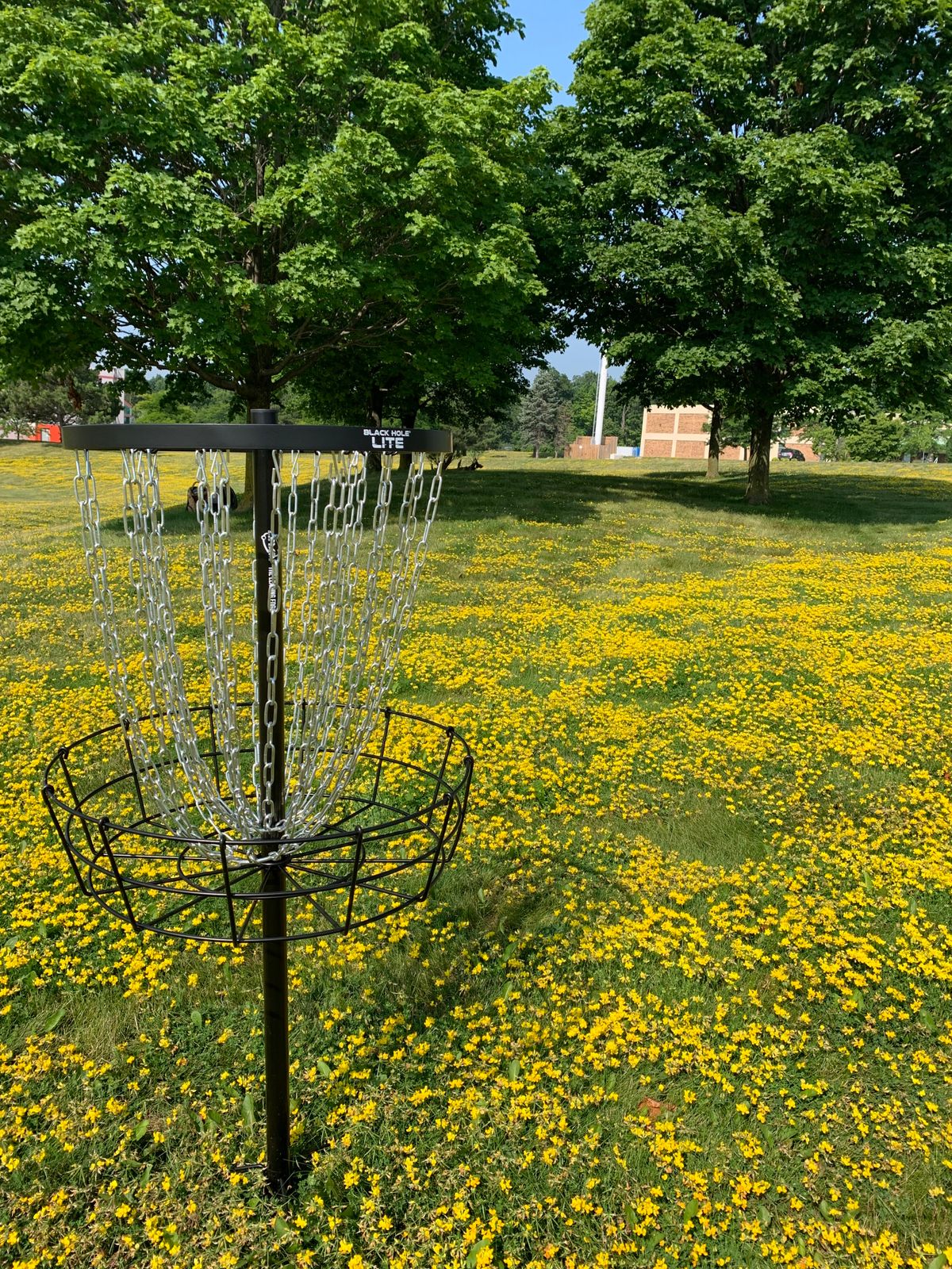 Hole 2 basket.