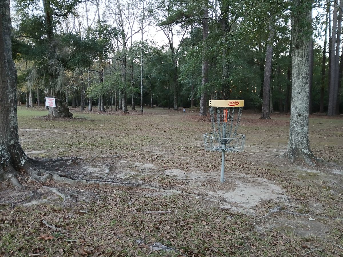 Hole 2s basket looking towards #3 tee and fairway