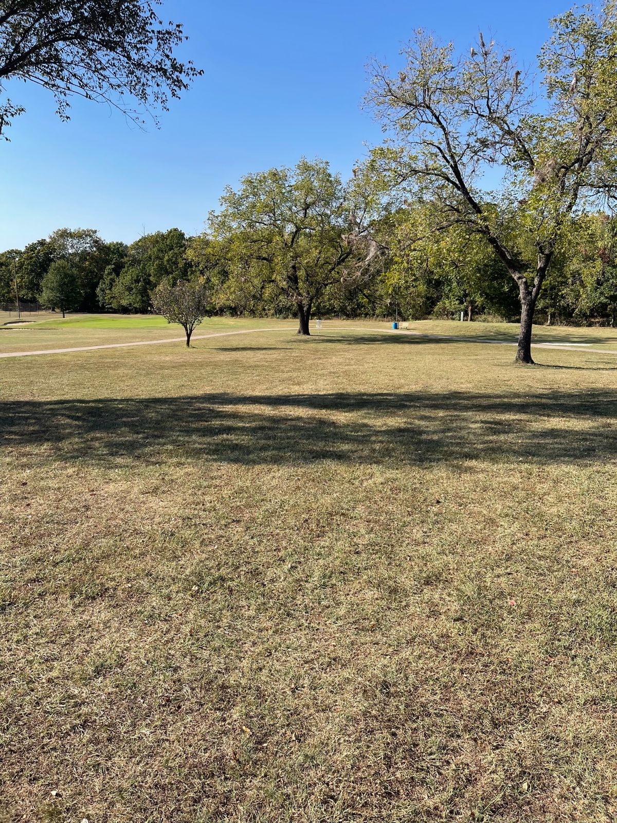 Mid fairway hole 8 looking at basket