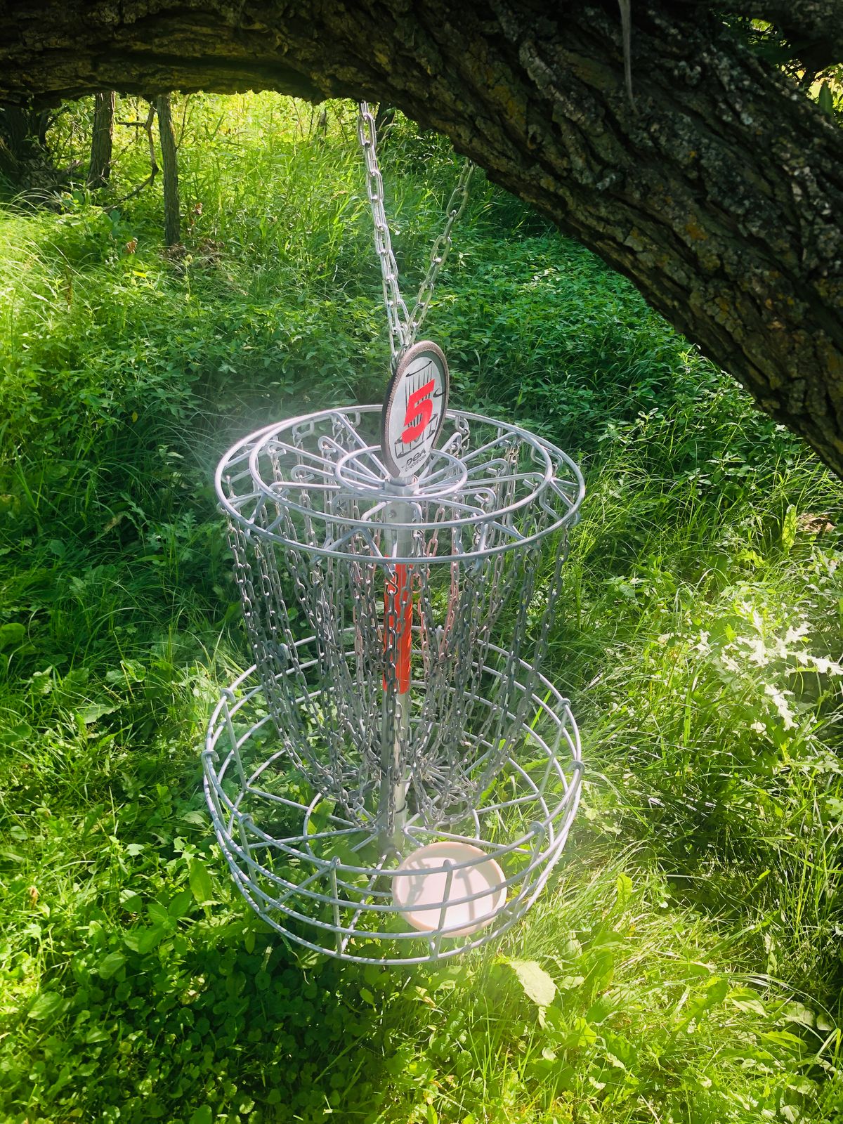 Nice hanging basket on hole 5