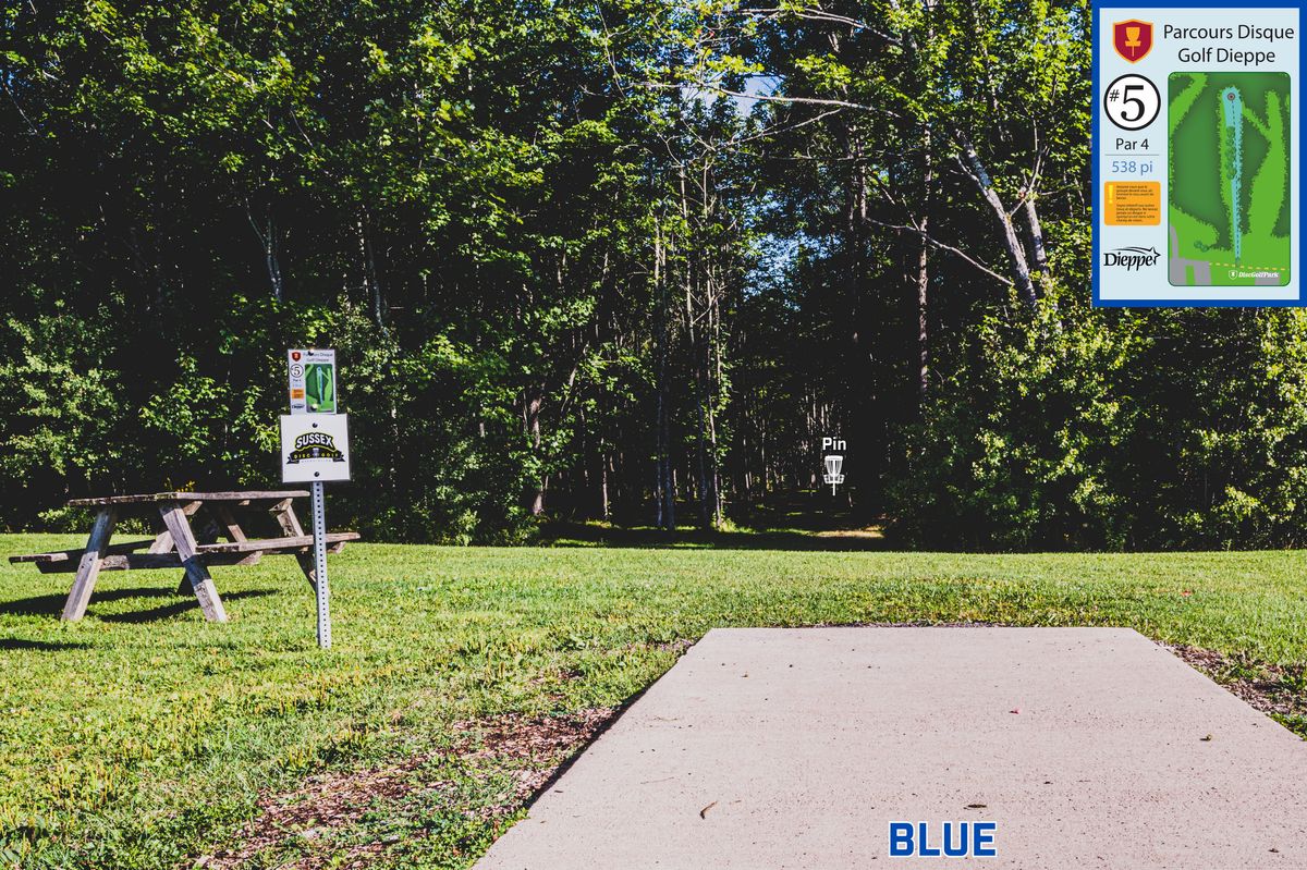 Hole 5 Blue Tee