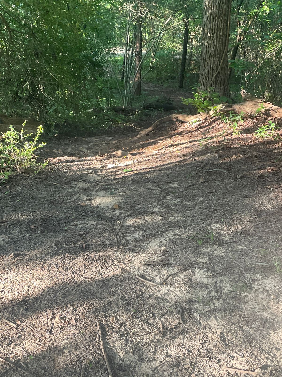 Trail down to 16 from 15 basket