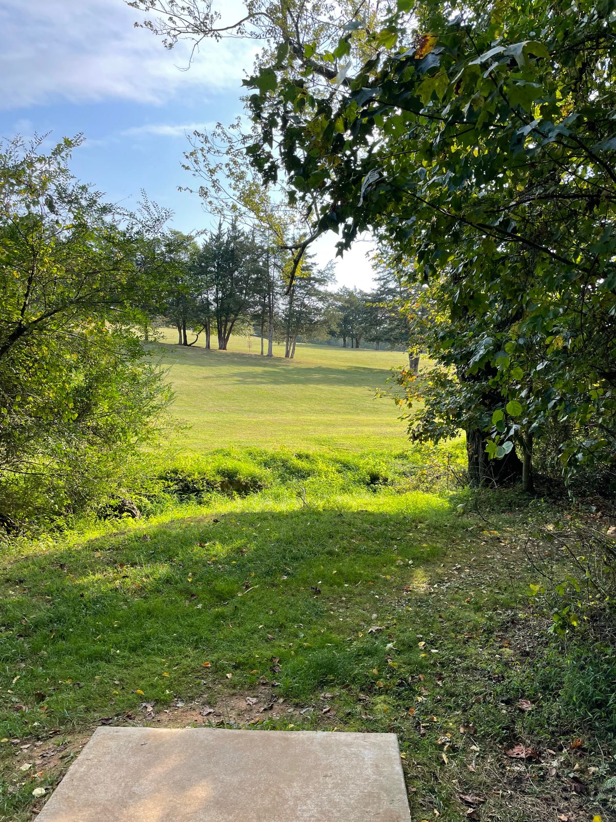 Fairway 5