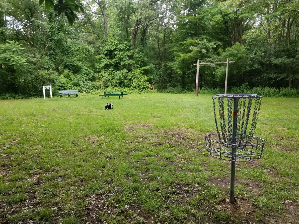 #6 basket (plays from the left) looking towards the path to #7 (between benches and archway)