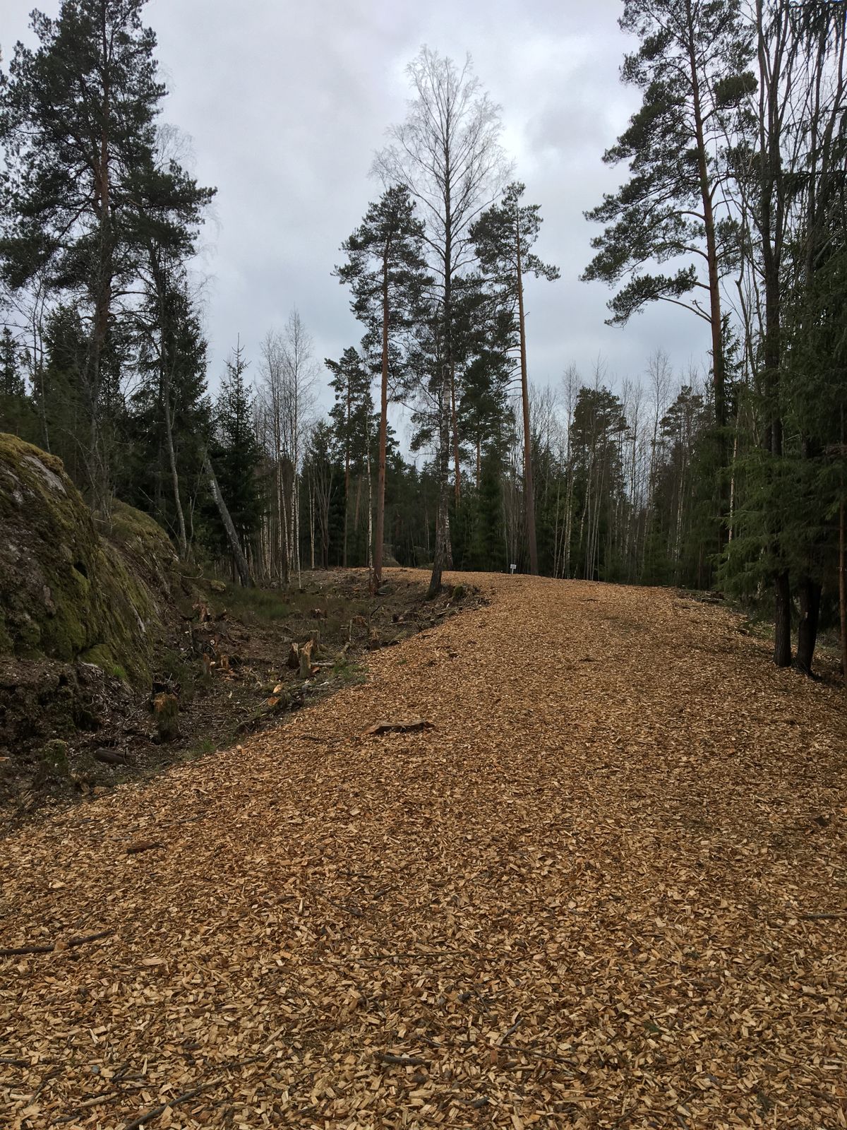 ford hole 6 par 5 306m ”monster”