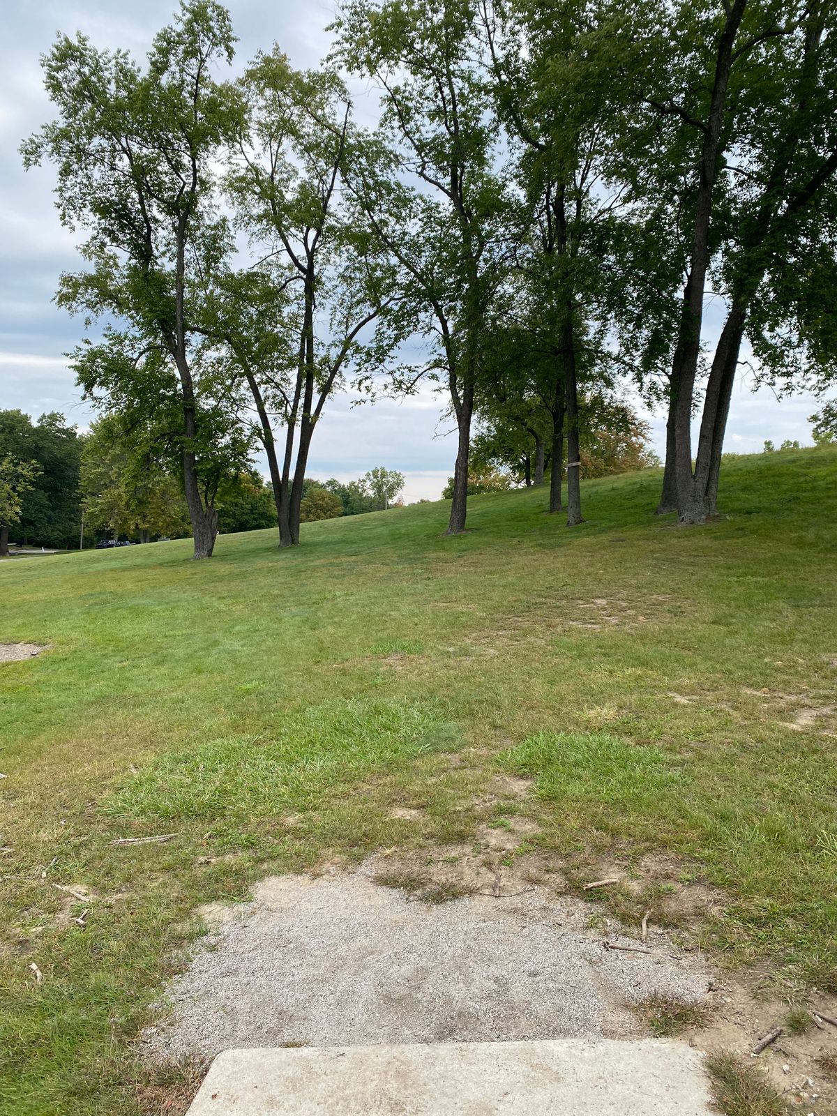 from 16 Short Tee