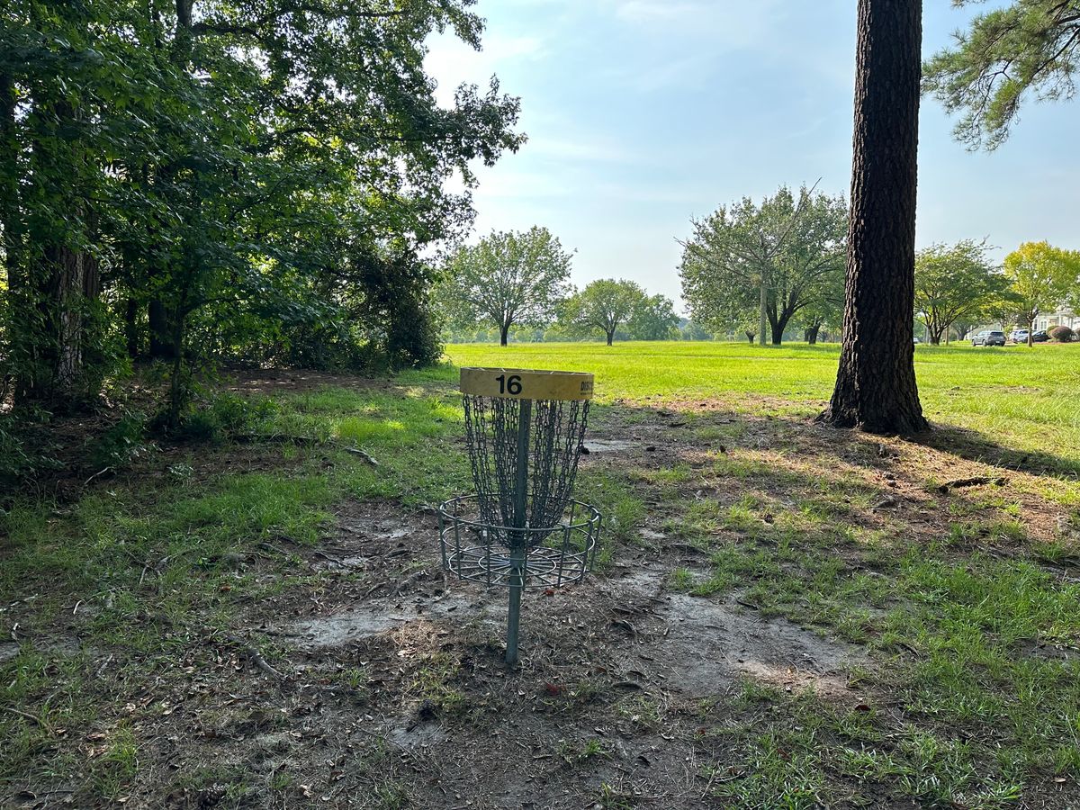 Hole 16 Basket