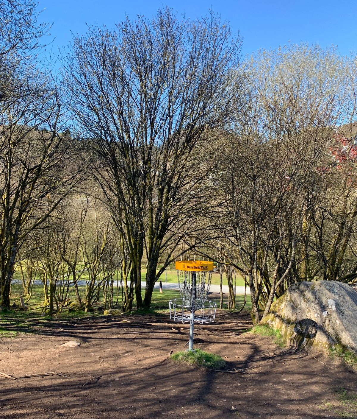 Hole 5