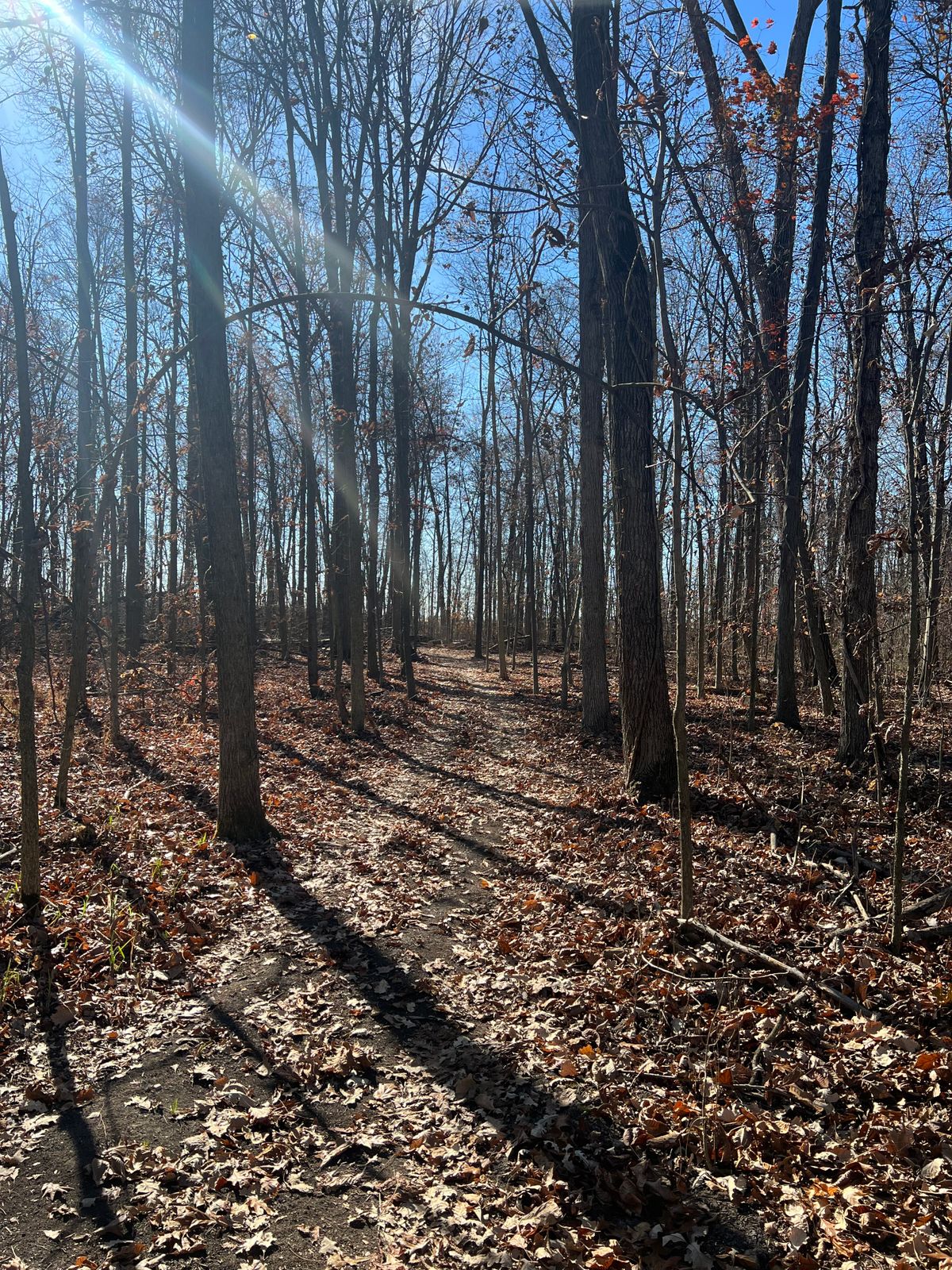 Hole 1