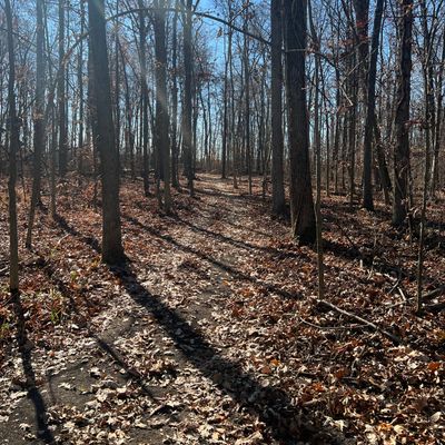 Hole 1