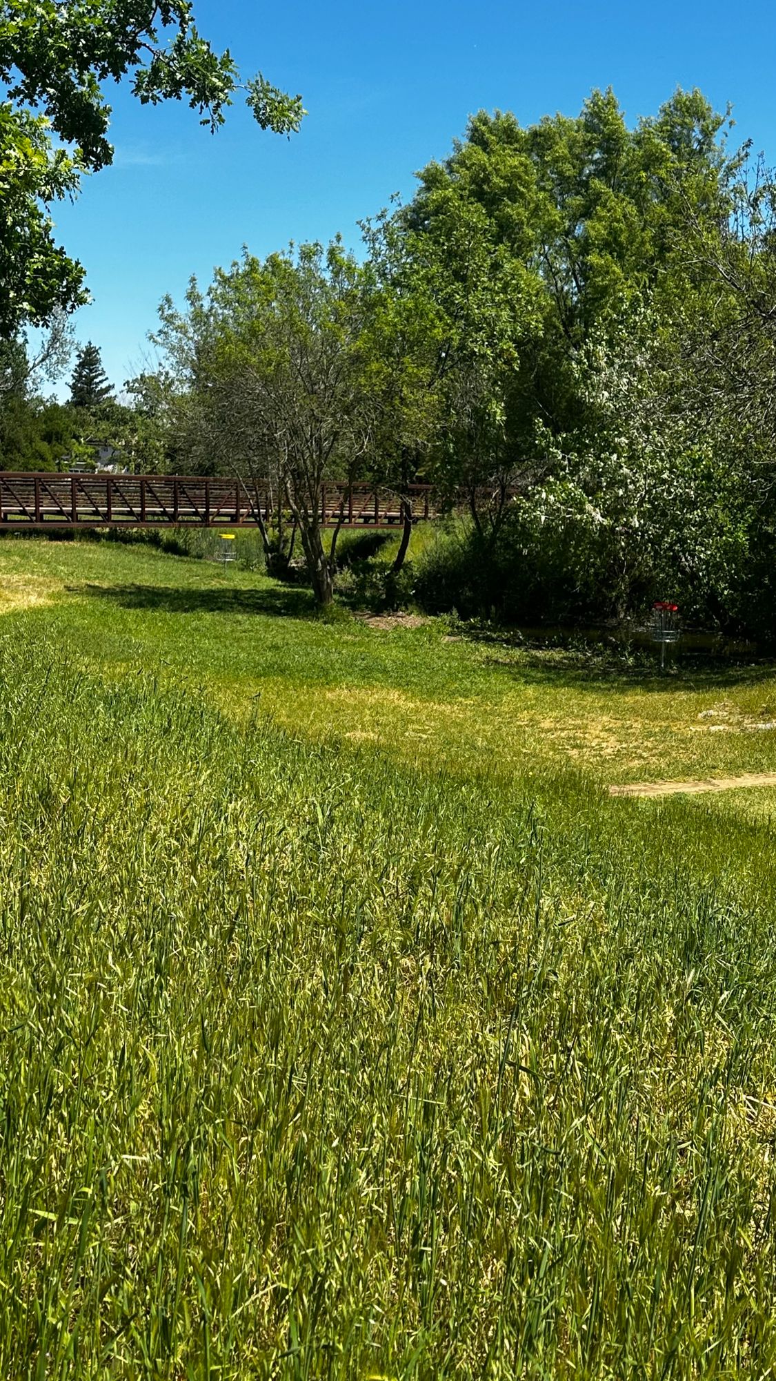 View of Basket # 5 (yellow) and #14 (red)