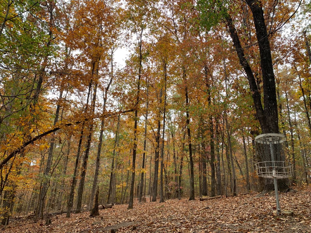 Hole 12