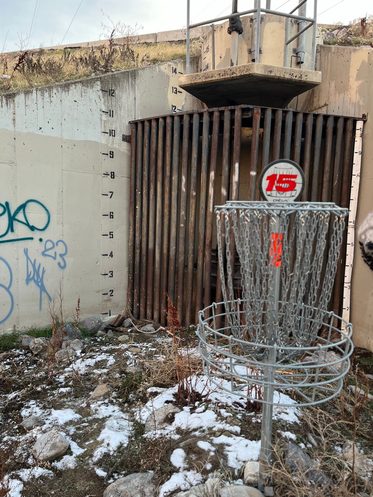 Brought the basket back on 15! Fun hole!
