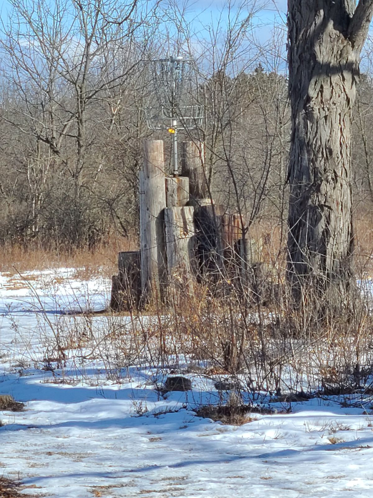 Hole 15