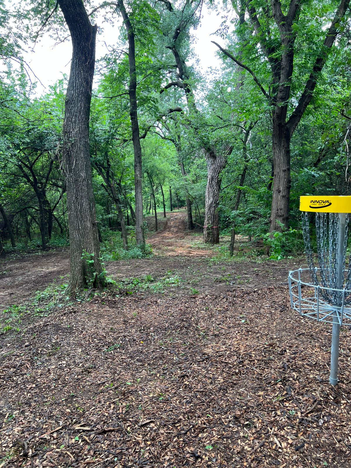 Hole 5 - Pop Up Layout (Future Hole 13)