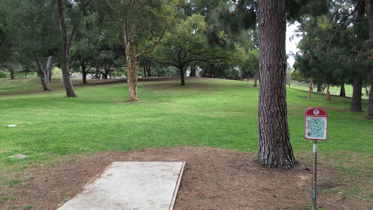 Hole 7