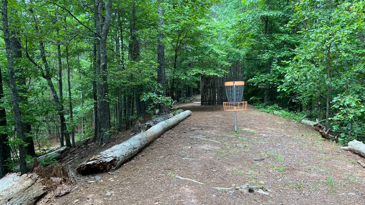 Hole 7