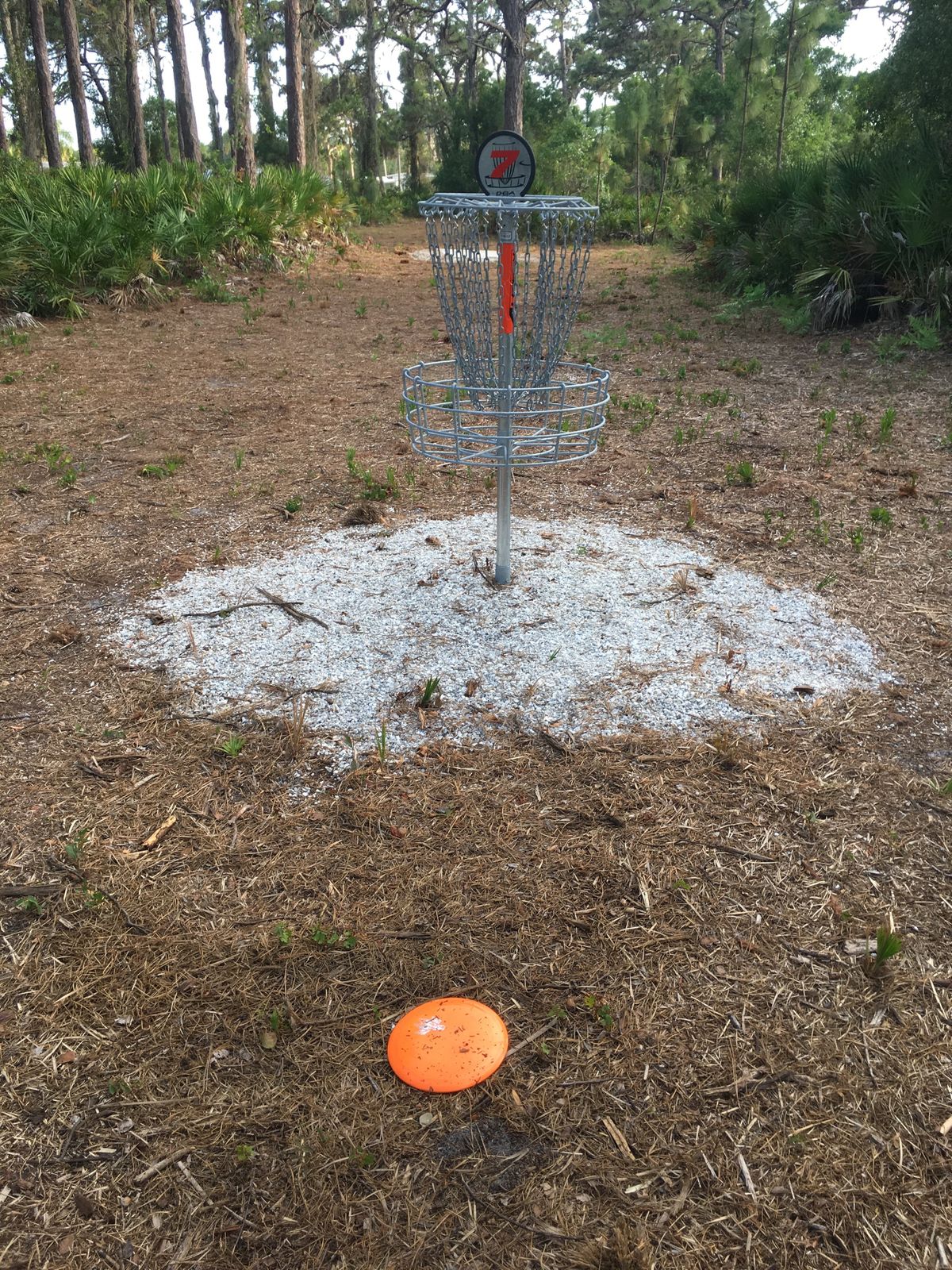 Hole 7