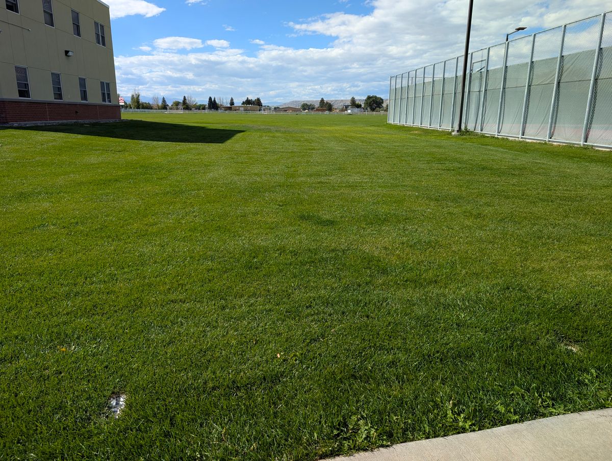 Hole 11, basket dogleg right around fence