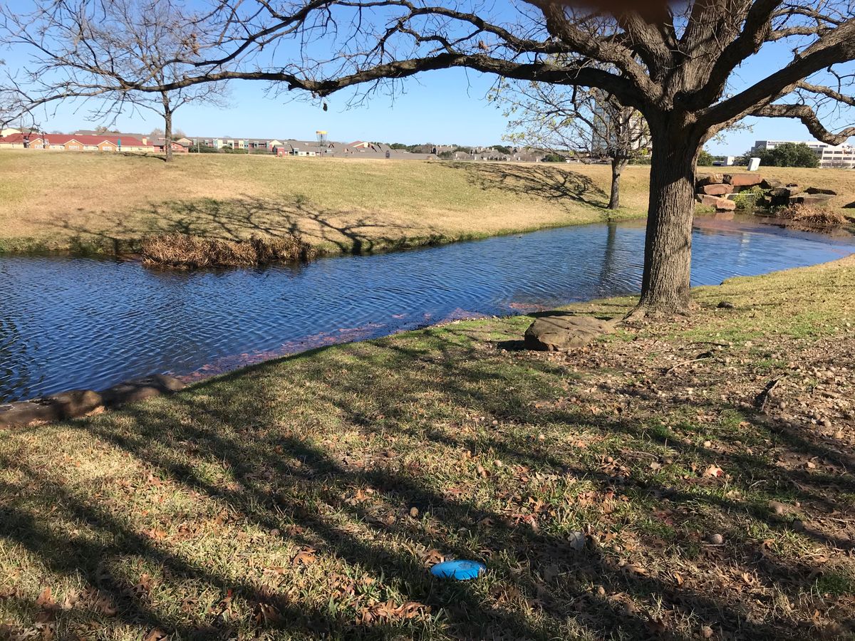 Hole 6, basket across the lake.