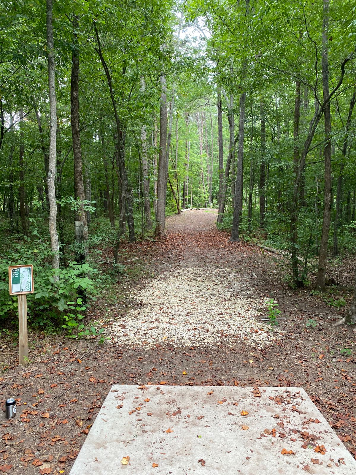 Hole 15