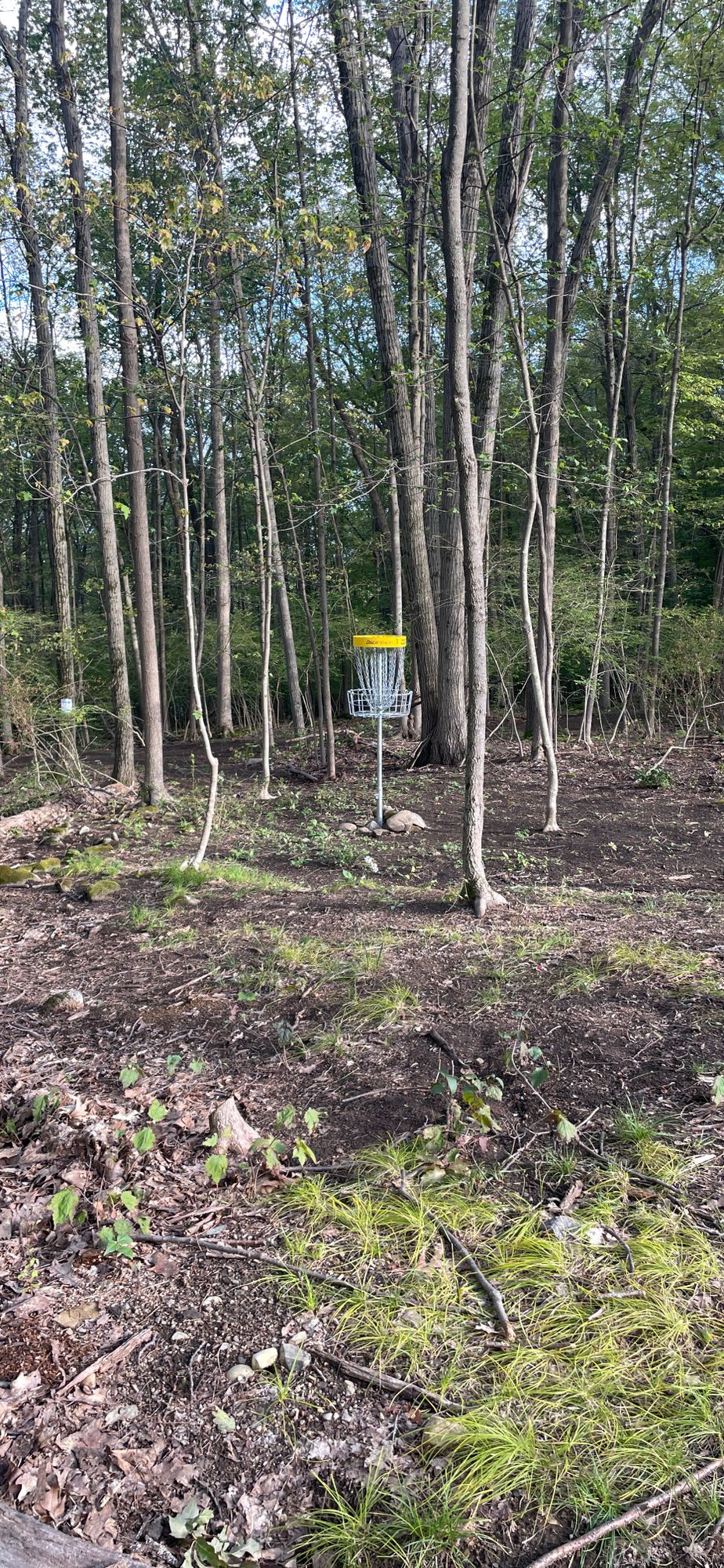 Hole 1 Basket