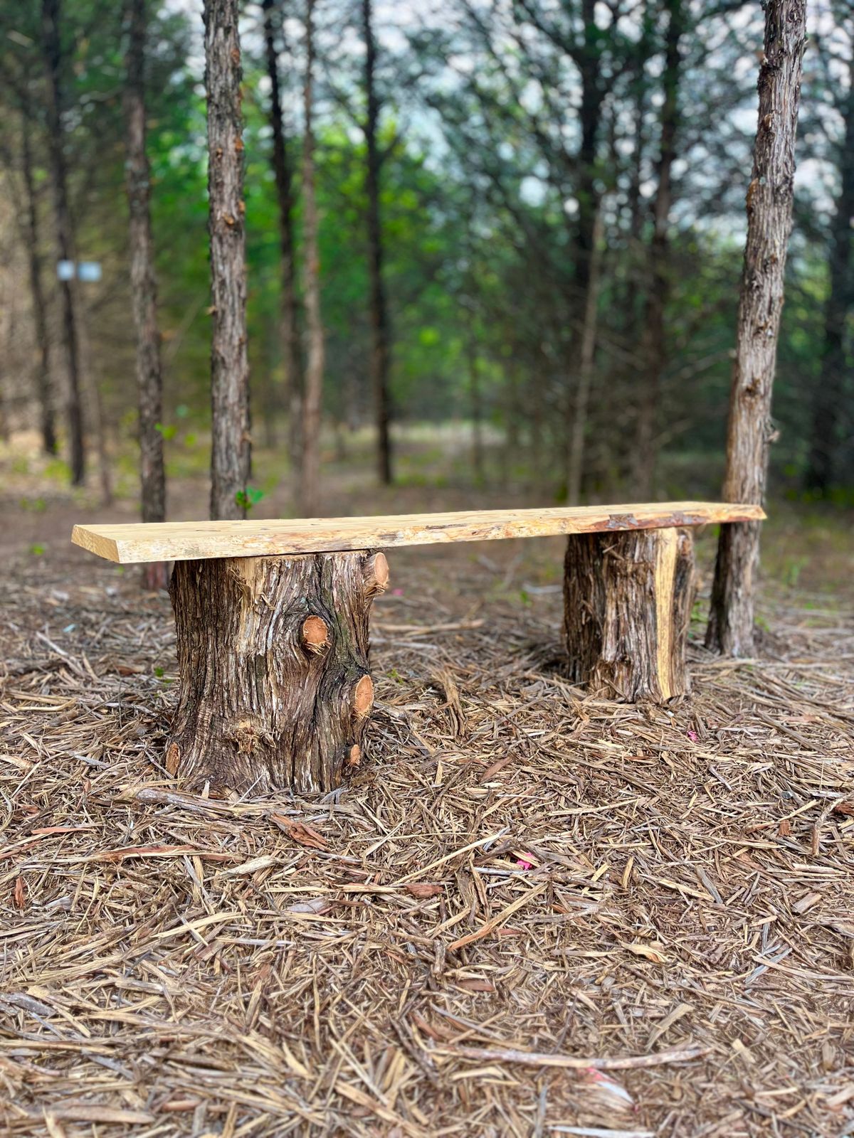Great bench