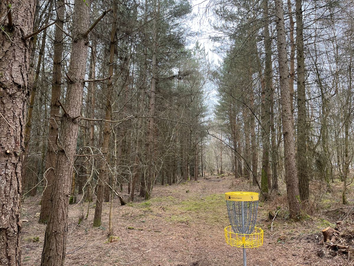 Hole 1 basket to tee