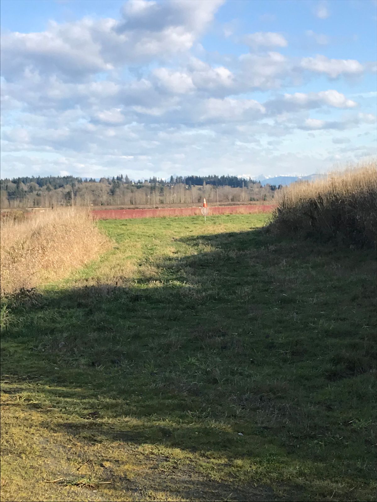 Hole 10
