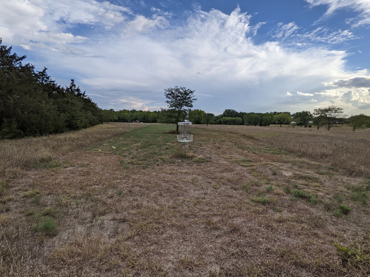 Hole 12 basket