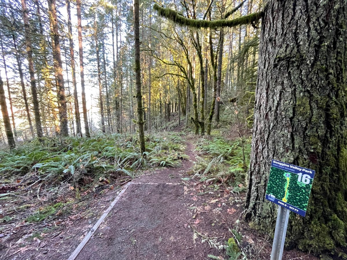Hole 16.  Difficult narrow hole