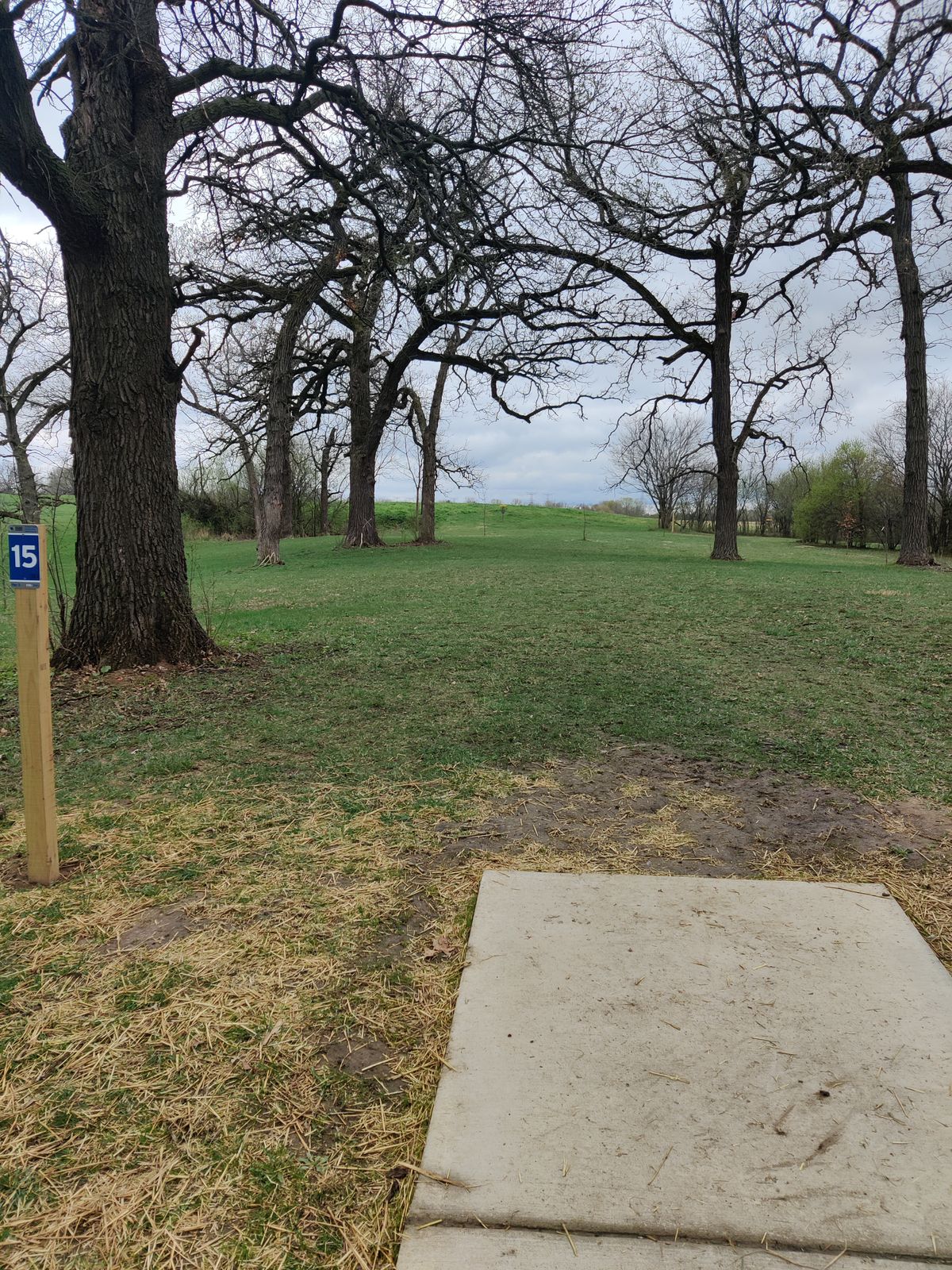 Hole 15 tee