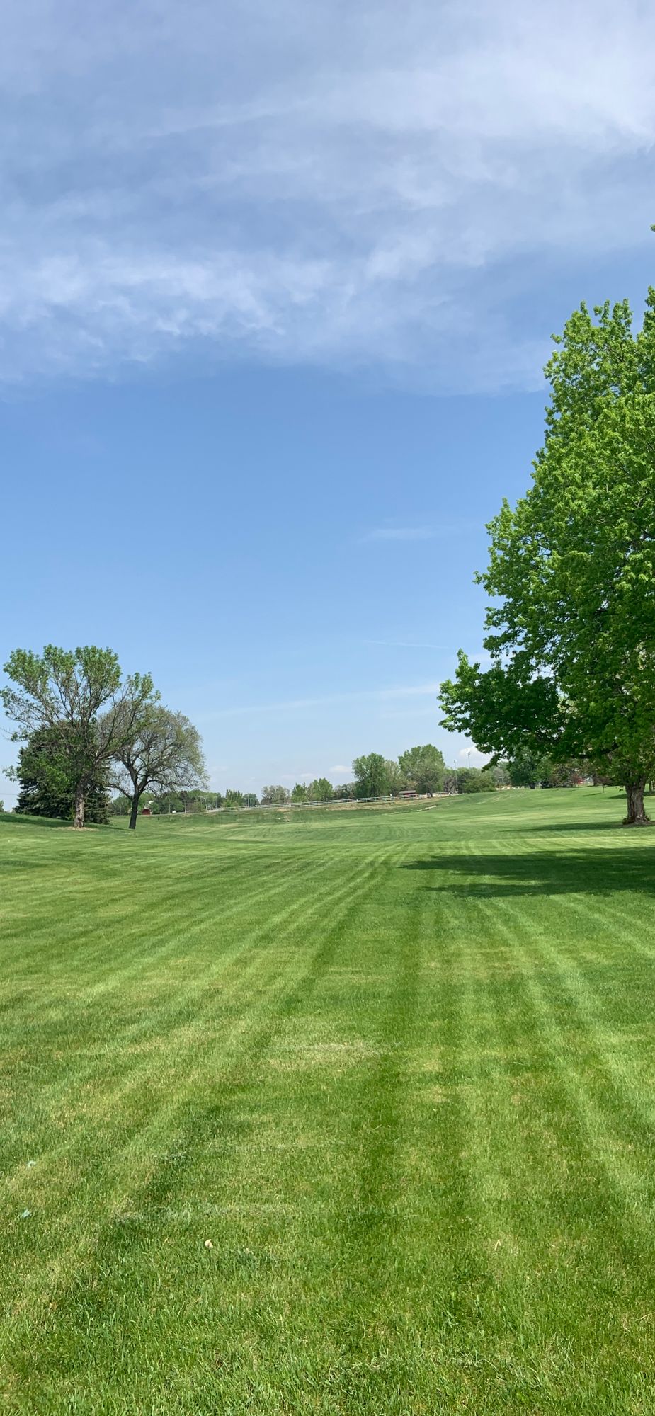 Open Course