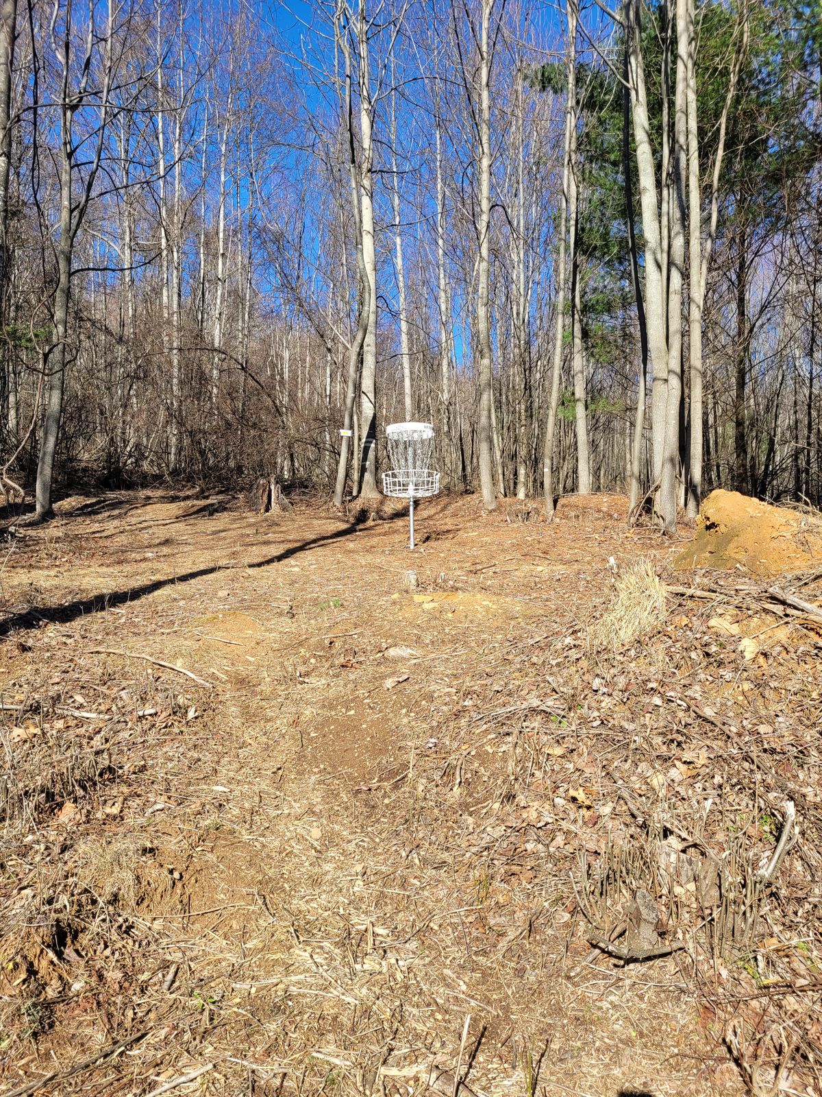 Hole #1