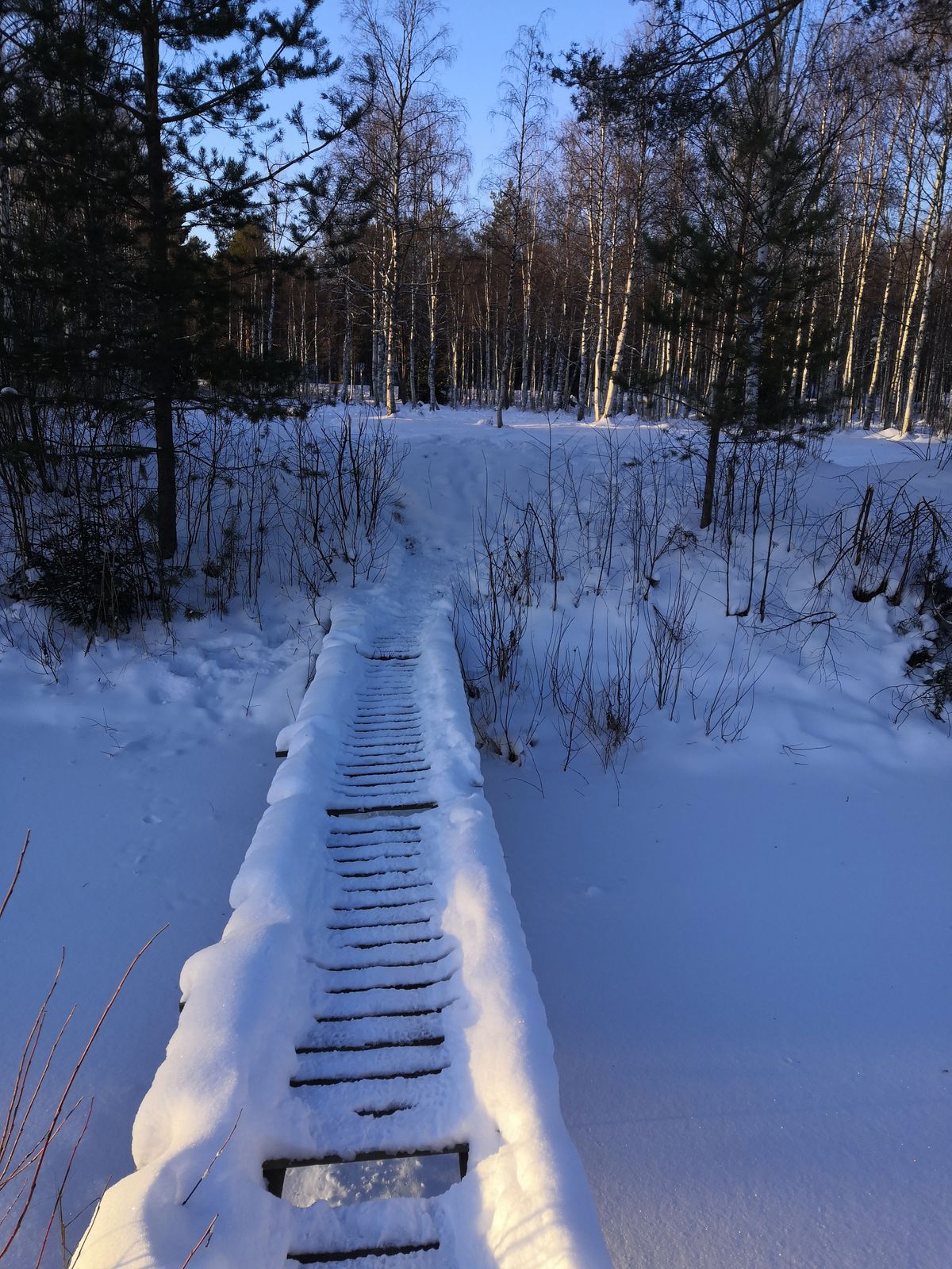 Hiironen course covered in the snow.