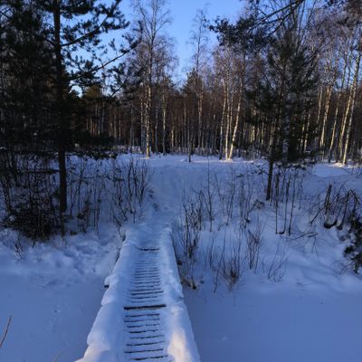 Hiironen course covered in the snow.