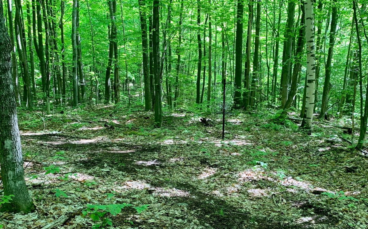 Hole 15