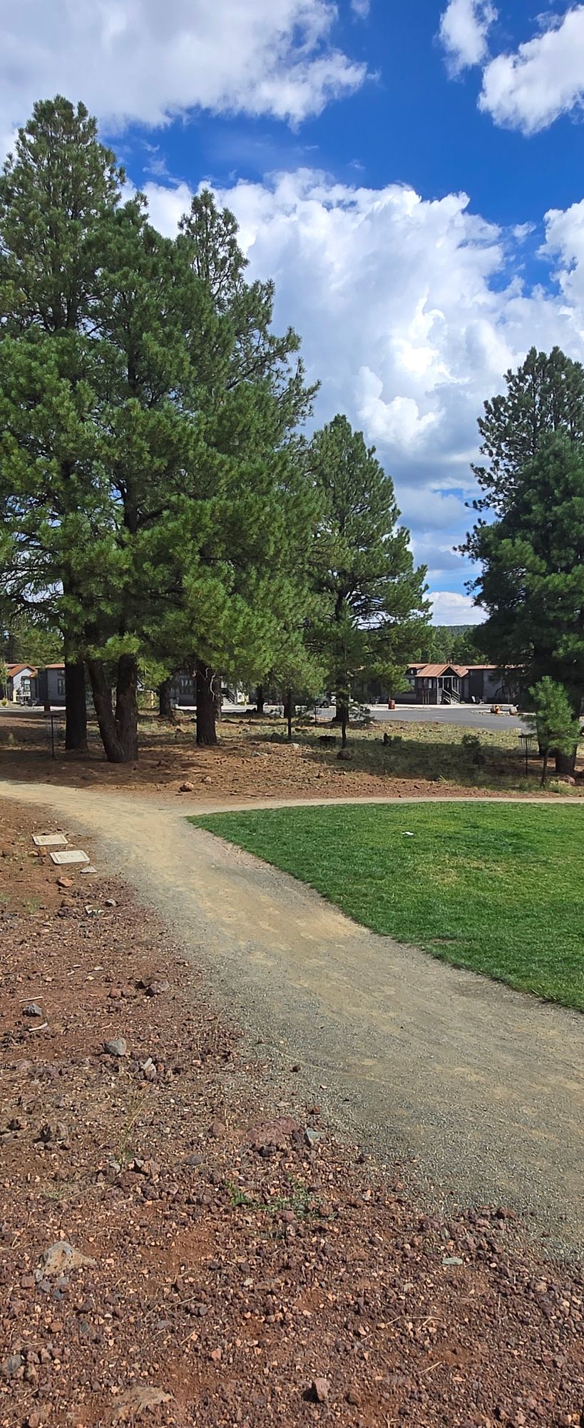 Tee 6